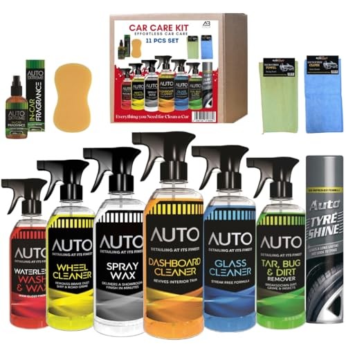 AlezyB 11 Piece Car Cleaning Kit with Glass, Wheel and Tar Removers