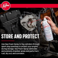 Sea Foam SS14 Engine Cleaner and Lube Foam