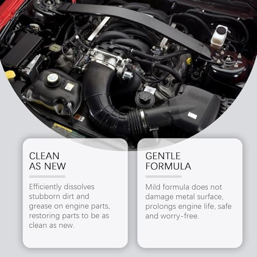 ZYHARUKO Engine Bay Cleaner and Degreaser Sprayer-5