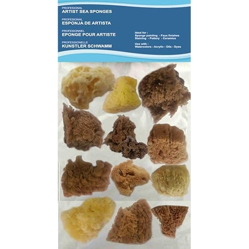 Pasiphae Natural Sea Sponges for Painting, 12 Pieces — image 1
