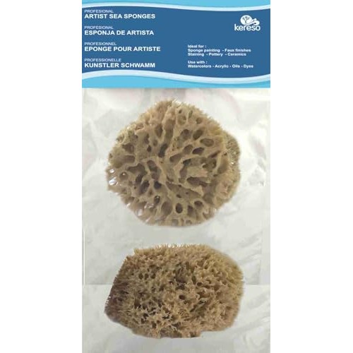 pasiphae Natural Honeycomb Sea Sponges for Decorative Painting, 2 Pack, 9–13cm — image 1